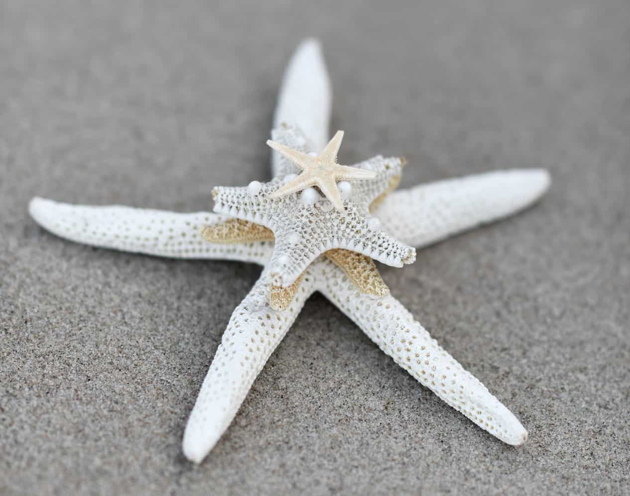 star-2